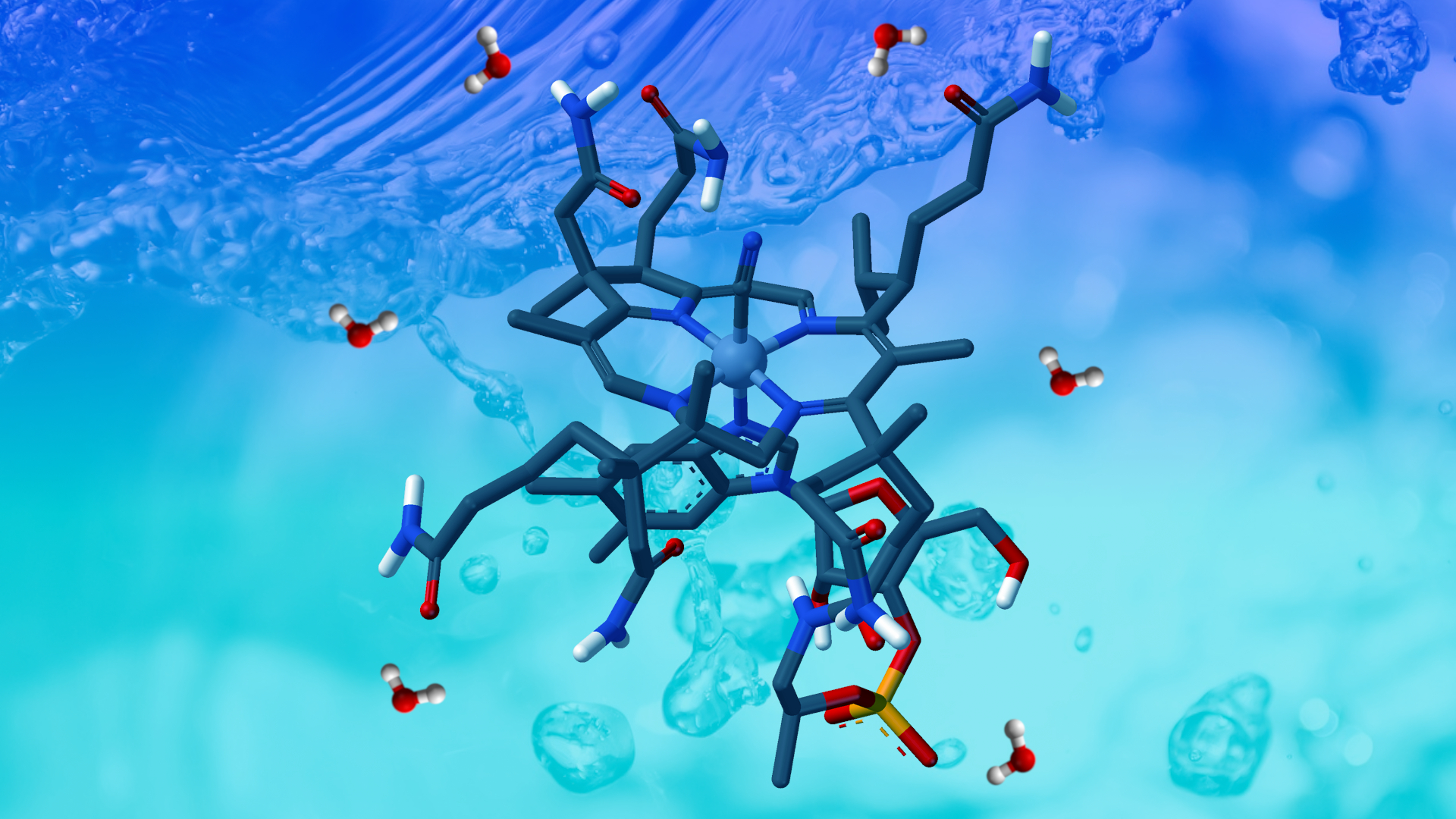 You are currently viewing The Significance of Coenzymes