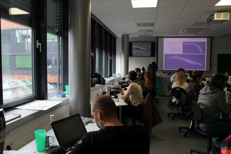The 2nd European Workshop on Chironomidae Identification Methodology