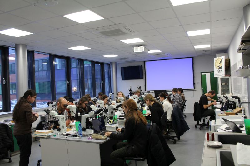 The 2nd European Workshop on Chironomidae Identification Methodology