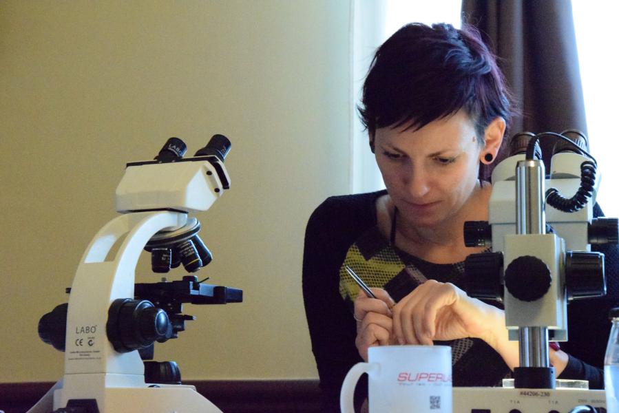 The 1st European Workshop on Chironomidae Identification Methodology