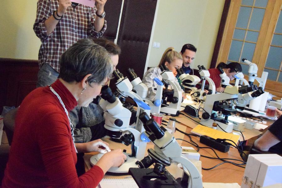 The 1st European Workshop on Chironomidae Identification Methodology