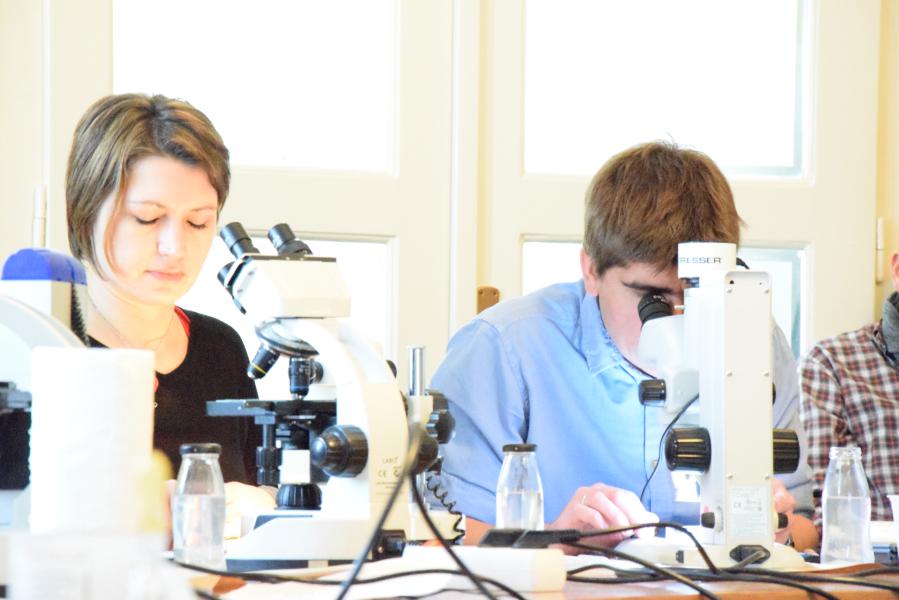 The 1st European Workshop on Chironomidae Identification Methodology