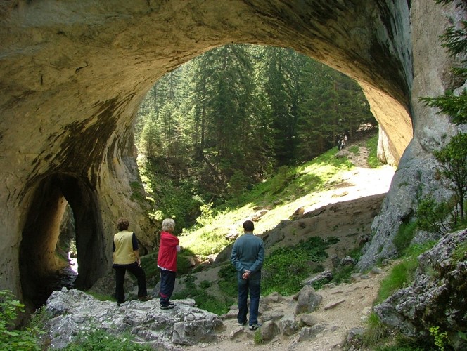 Picture6