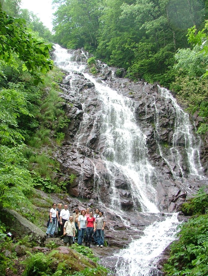 Picture8